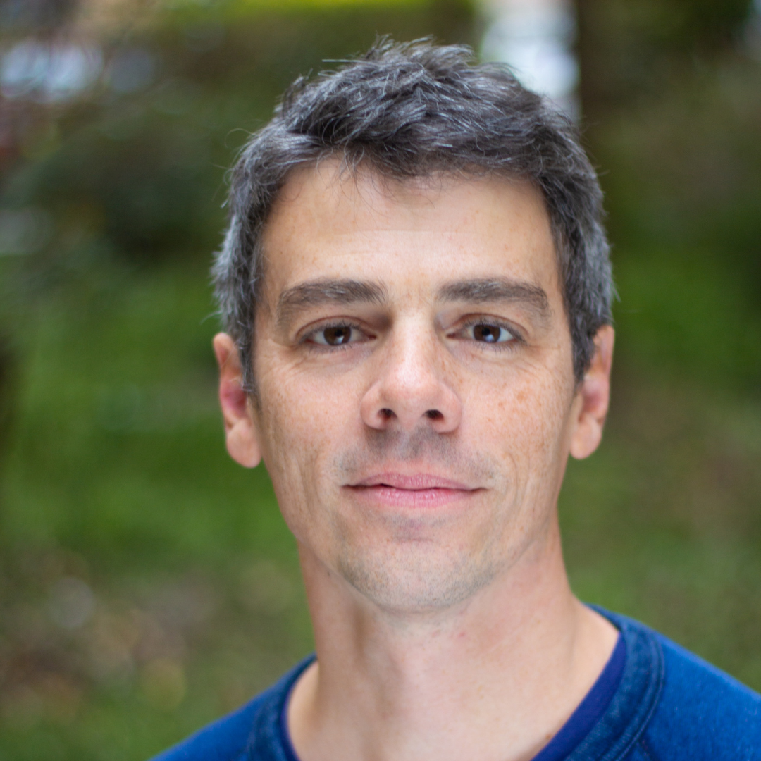 Domján Dániel